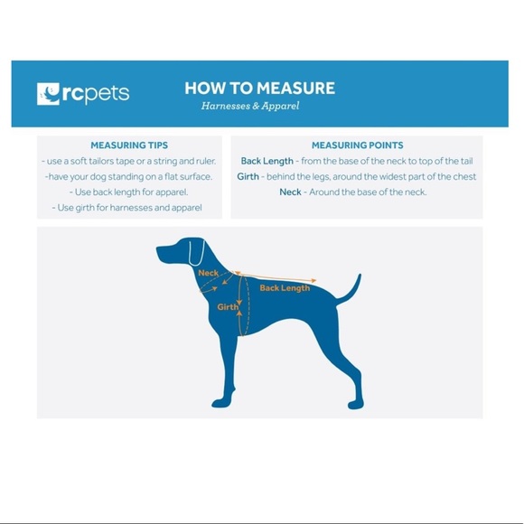 Medium Dog Harness - Picture 4 of 5